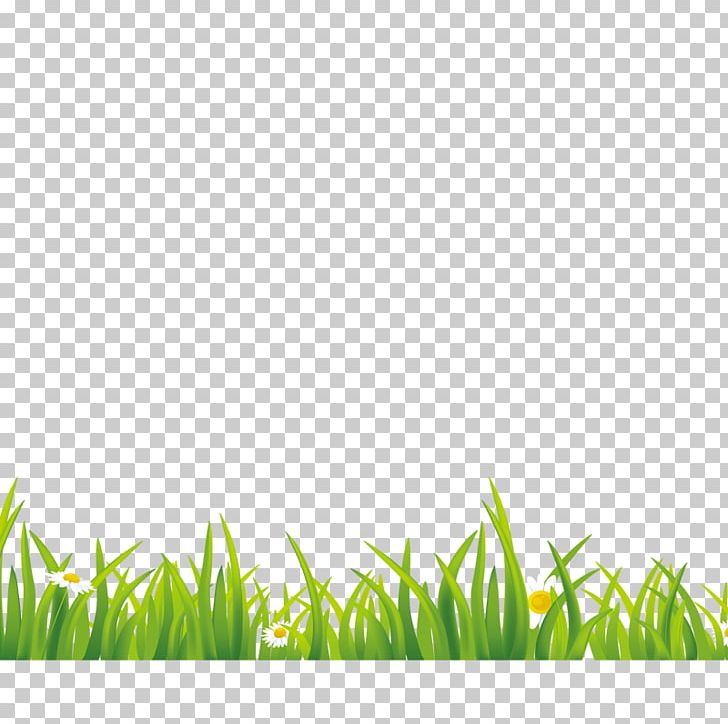 Green Gratis Euclidean Grass PNG, Clipart, 2d Computer Graphics, Angle, Area, Artificial Grass, Cartoon Grass Free PNG Download