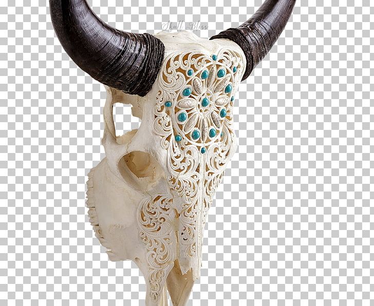 Horn Animal Skulls Cattle Bull PNG, Clipart, Animal, Animal Skull, Animal Skulls, Art, Bone Free PNG Download