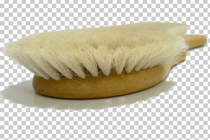 Valentino Garemi Inc. Lint Hair Furniture Leather PNG, Clipart, Antique, Brush, Dust, Furniture, Goat Free PNG Download