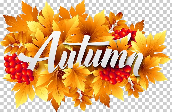 Autumn PNG, Clipart, Art, Autumn, Autumn Leaf Color, Clipart, Clip Art Free PNG Download