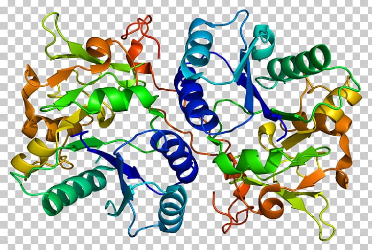 B3GAT1 Protein Glucuronosyltransferase Cluster Of Differentiation Antigen PNG, Clipart,  Free PNG Download