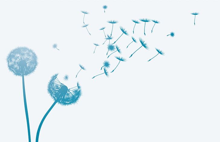 Common Dandelion Wind Seed PNG, Clipart, Blue, Common Dandelion, Computer Wallpaper, Dandelion, Flower Free PNG Download