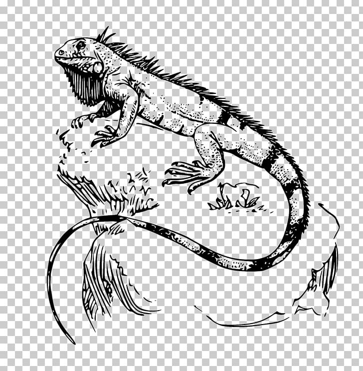 Green Iguana Lizard Reptile Drawing PNG, Clipart, Animals, Arm, Art, Artwork, Black And White Free PNG Download