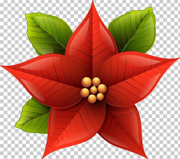 Poinsettia Christmas PNG, Clipart, Christmas, Flower, Flower Clipart, Garland, Holidays Free PNG Download