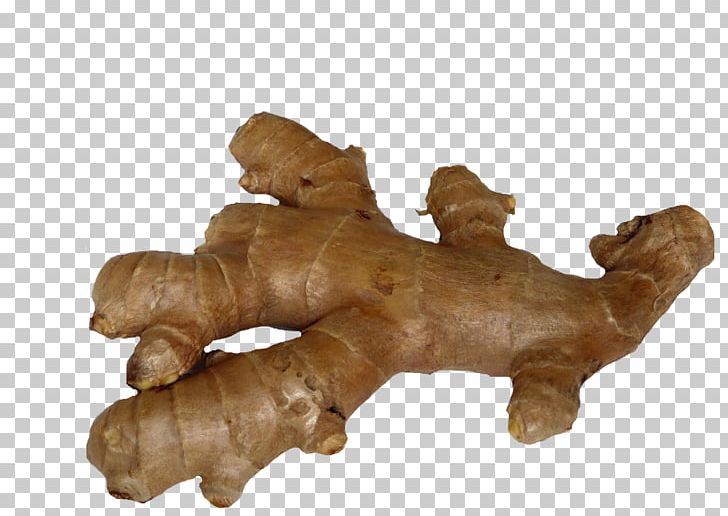 Galangal Spice Beer Ginger Root Vegetables PNG, Clipart, Beer, Beer Brewing Grains Malts, Boiling, Common Hop, Essential Oil Free PNG Download