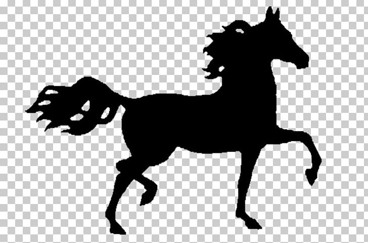 Mustang Arabian Horse Nokota Horse Stallion American Paint Horse PNG, Clipart, American Paint Horse, Arabian Horse, Black, Fictional Character, Horse Free PNG Download