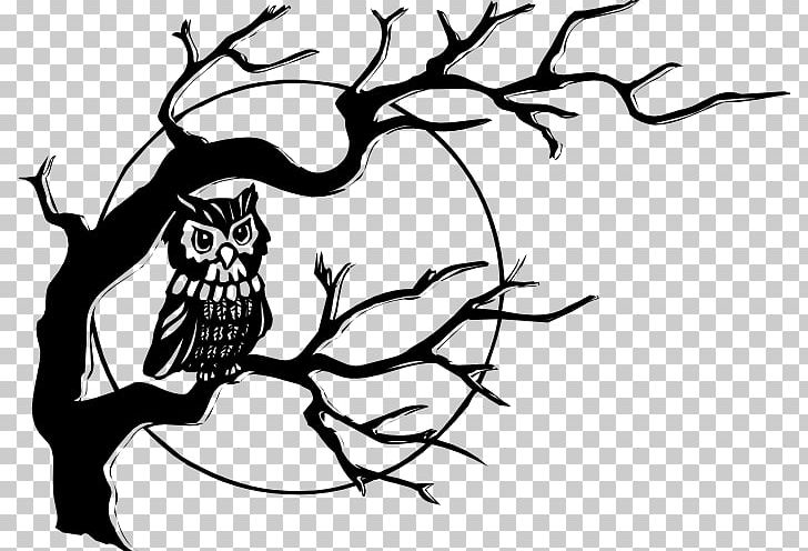 Owl PNG, Clipart, Animals, Artwork, Beak, Bird, Bird Of Prey Free PNG Download