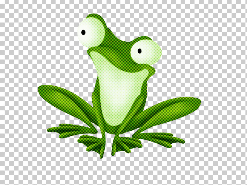 Frog Green Tree Frog True Frog Tree Frog PNG, Clipart, Frog, Green, Hyla, Plant, Tree Frog Free PNG Download