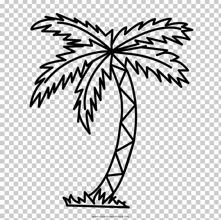 Drawing Branch Arecaceae Tree PNG, Clipart, Area, Arecaceae, Artwork, Ausmalbild, Black And White Free PNG Download