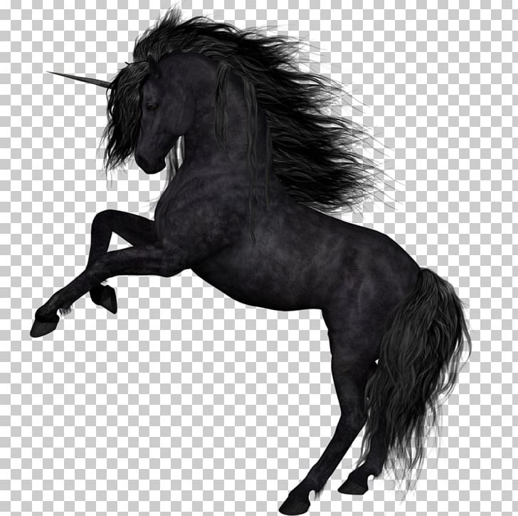 Horse Unicorn Photography PNG, Clipart, Animals, Fictional Character, Horse, Horse Tack, Mane Free PNG Download