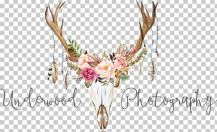Stock Photography Antler PNG, Clipart, Antler, Art, Branch, Child, Computer Wallpaper Free PNG Download