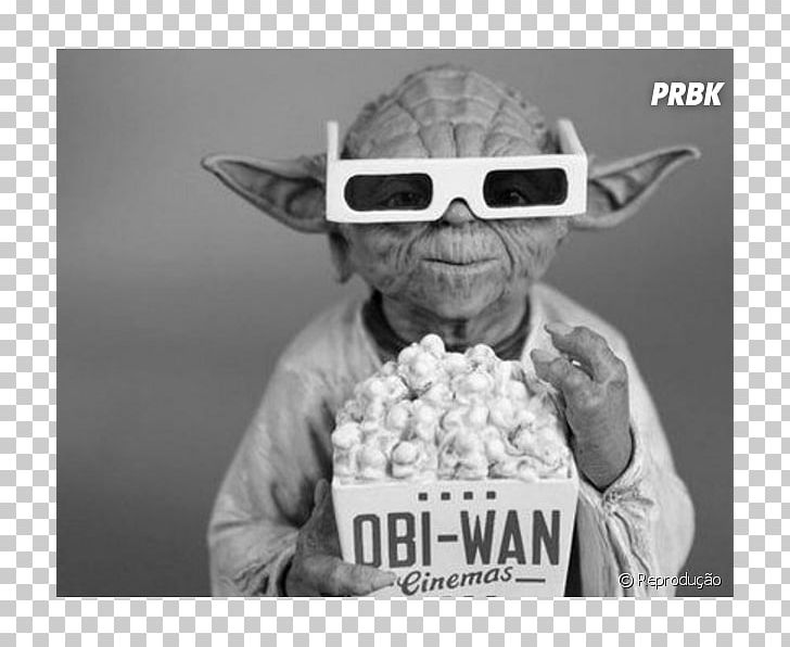 Yoda Luke Skywalker Anakin Skywalker YouTube Chewbacca PNG, Clipart, Anakin Skywalker, Black And White, Brand, Chappie, Chewbacca Free PNG Download