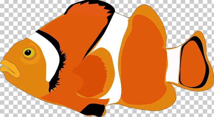 Cartoon Fish PNG, Clipart, Animals, Beak, Carnivoran, Cartoon, Download Free PNG Download