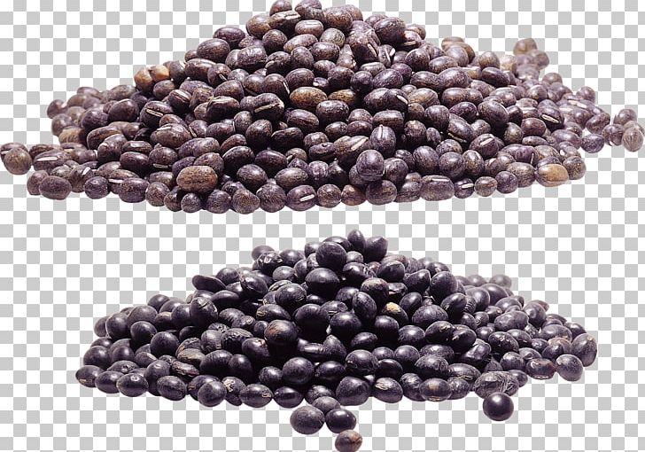 Food Common Bean PNG, Clipart, Adobe Premiere Pro, Bean, Caviar, Common Bean, Eating Free PNG Download