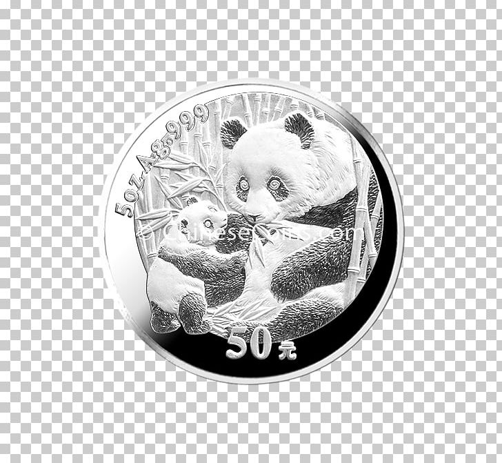 Silver Coin PNG, Clipart, Coin, Currency, Jewelry, Material, Money Free PNG Download