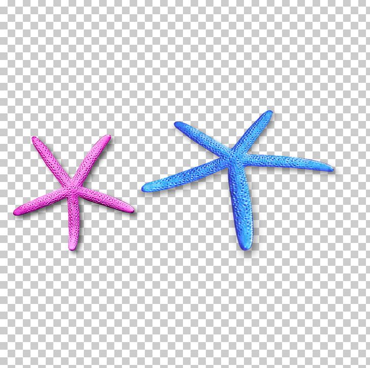 Starfish Seashell Icon PNG, Clipart, Animal, Animals, Blue, Color, Color Pencil Free PNG Download
