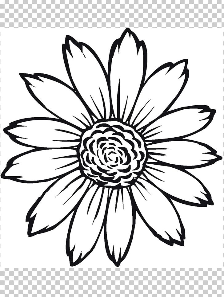 Coloring Book Common Sunflower Light PNG, Clipart, Adult, Artwork, Black And White, Child, Chrysanths Free PNG Download