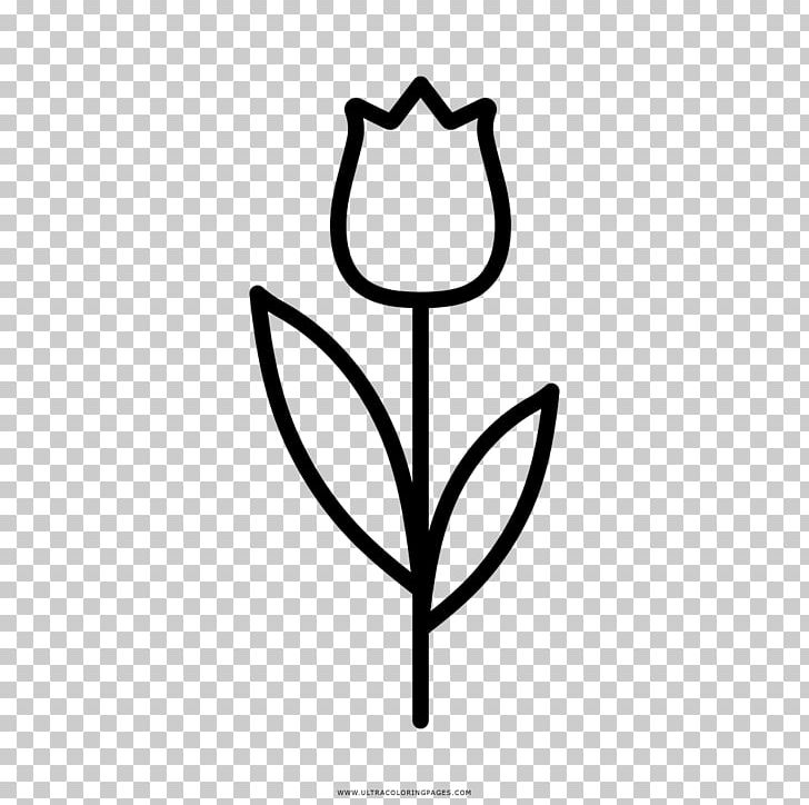 Flower Tulip Coloring Book Drawing Painting PNG, Clipart, Artwork, Black And White, Coloring Book, Cut Flowers, Drawing Free PNG Download