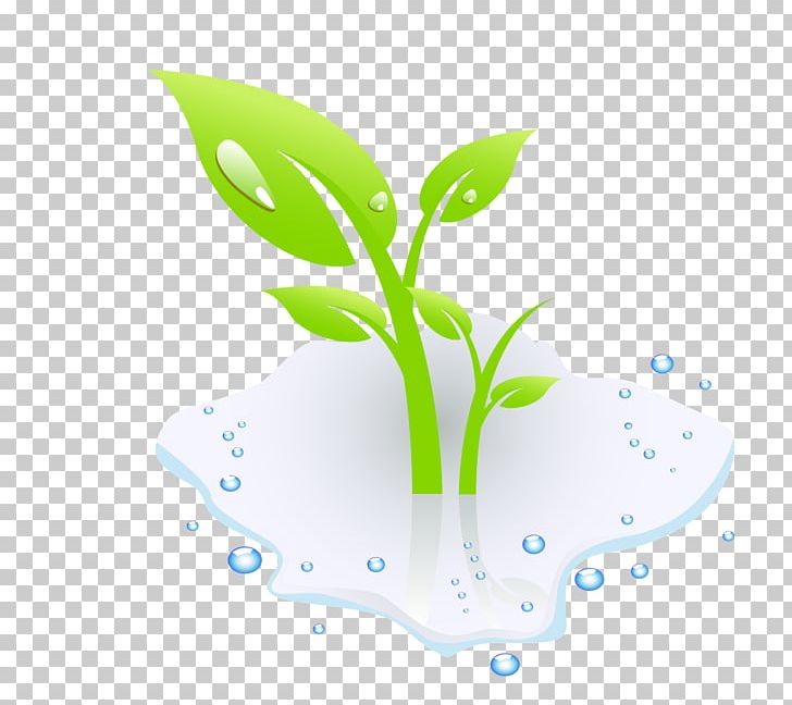 Aquatic Plant Euclidean PNG, Clipart, Aquatic Plant, Computer Wallpaper, Dew, Drop, Flag Free PNG Download