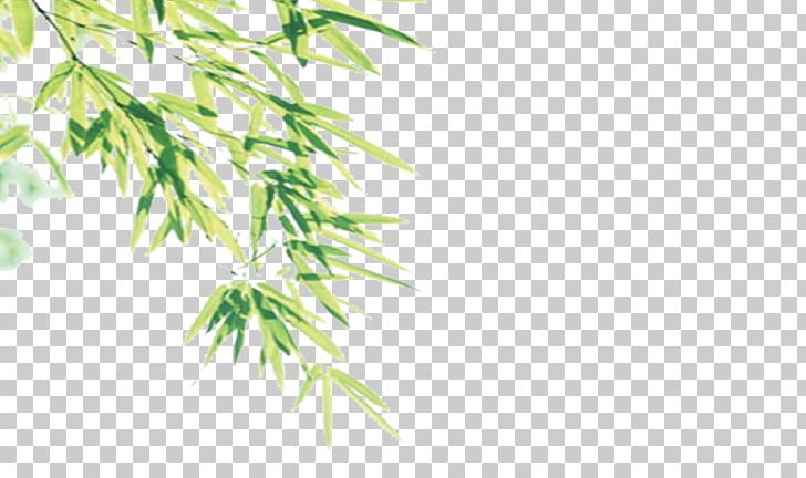Bamboo Euclidean PNG, Clipart, Bamboo, Bamboo Border, Bamboo Floor, Bamboo Frame, Bamboo House Free PNG Download