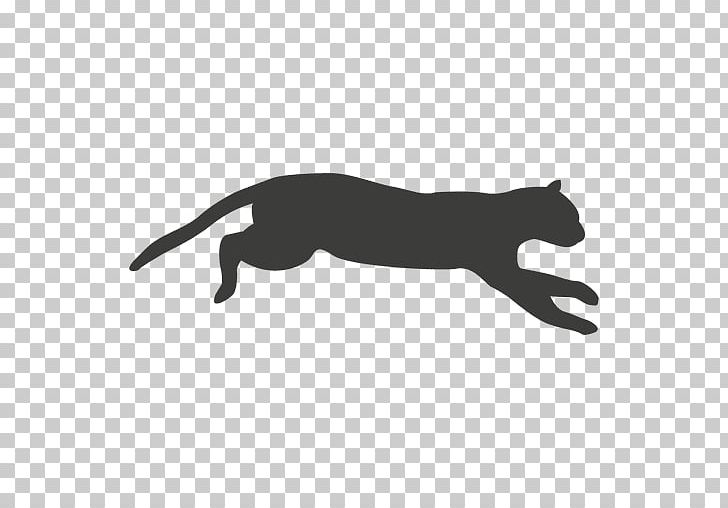 Cat Animation Artist PNG, Clipart, Animals, Animation, Animator, Art, Artist Free PNG Download
