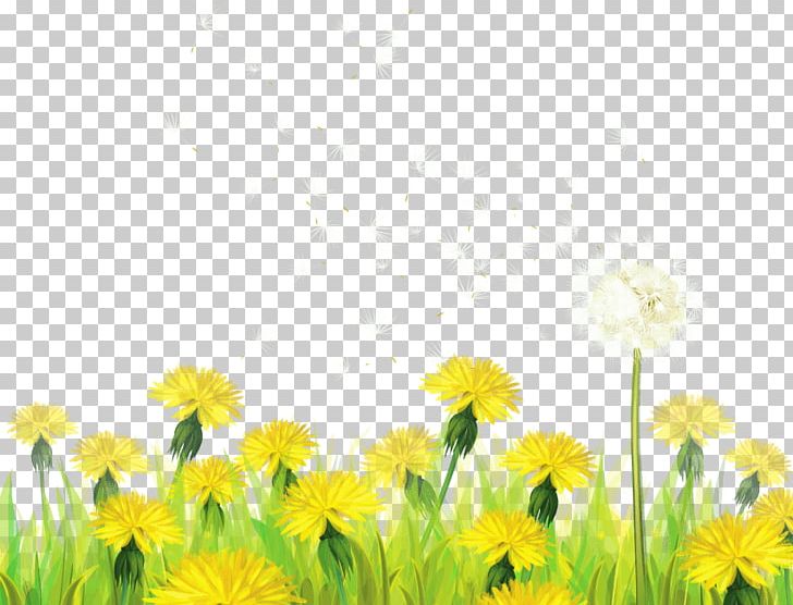 Dandelion Paper PNG, Clipart, Border Flowers, Clip Art, Computer Wallpaper, Daisy Family, Dandelion Free PNG Download