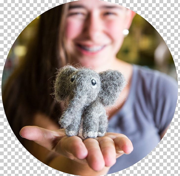 Koala 4-H Summer Camp Animal Child PNG, Clipart, Agricultural Extension, Animal, Animals, Budget, Child Free PNG Download
