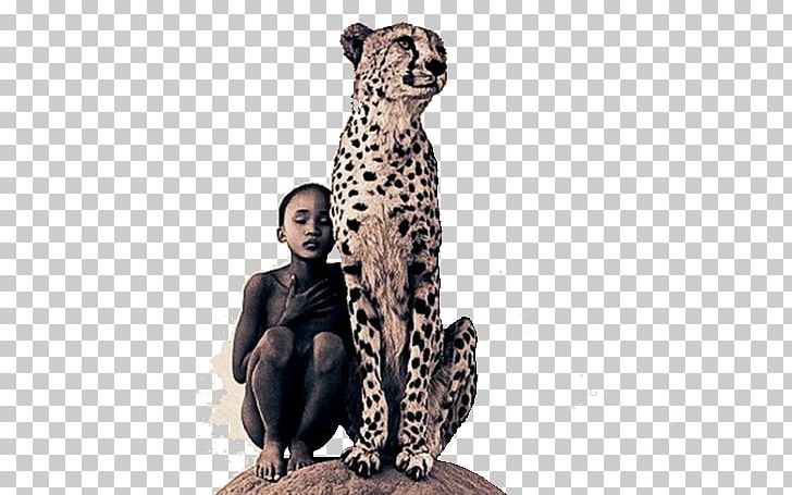 Nomadic Museum Artist Poster Photography PNG, Clipart, Allposterscom, Art, Artist, Ashes And Snow, Big Cats Free PNG Download