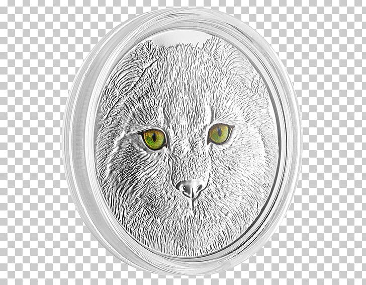 Tabby Cat Whiskers Canada Silver Eye PNG, Clipart, 2017, Body Jewelry, Canada, Canada Lynx, Carnivoran Free PNG Download