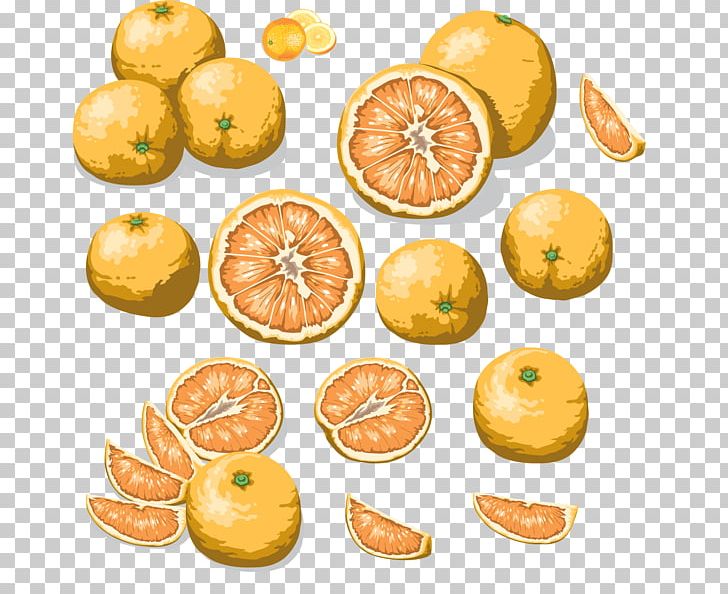 Clementine Tangerine Mandarin Orange Food PNG, Clipart, Citrus, Clementine, Cuisine, Diet, Diet Food Free PNG Download