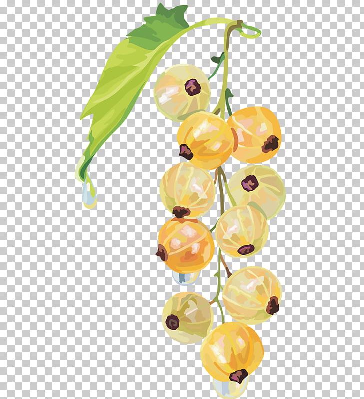 Fruit Redcurrant White Currant Blackcurrant Peruvian Groundcherry PNG, Clipart, Berry, Bilberry, Blackcurrant, Cranberry, Currant Free PNG Download