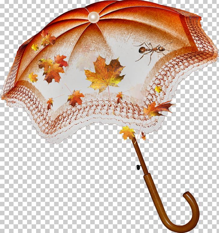 Umbrella Blog Autumn Collage PNG, Clipart, Autumn, Blog, Clothing Accessories, Collage, Diary Free PNG Download
