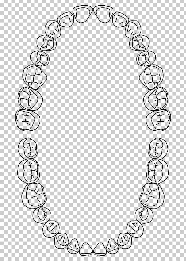 Dental Arch Dentistry Human Tooth Dental Midline PNG, Clipart, Area, Auto Part, Black, Black And White, Body Jewelry Free PNG Download