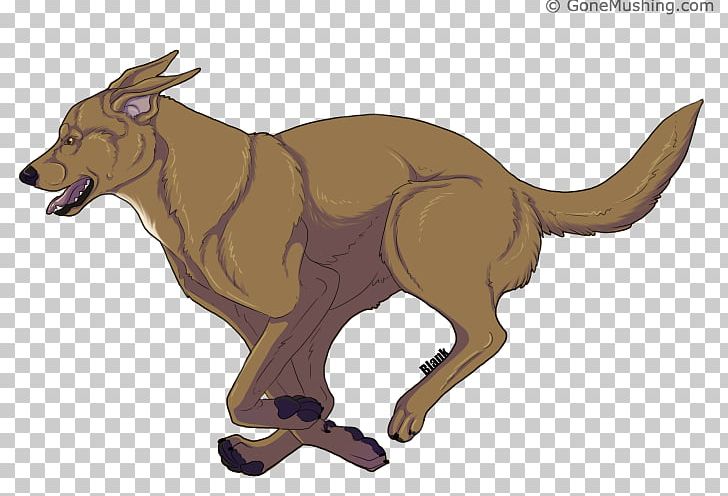 Dog Cattle Kangaroo Character Tail PNG, Clipart, Animals, Animated Cartoon, Carnivoran, Cattle, Cattle Like Mammal Free PNG Download