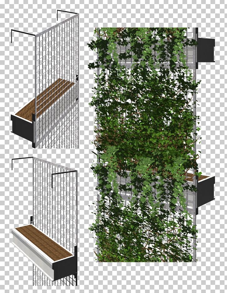 Facade Green Wall Architecture Garden PNG, Clipart, Angle, Architect, Architecture, Building, Ecosystem Free PNG Download