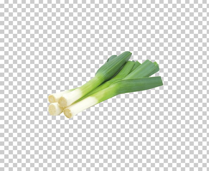 Leek Rosanna Fruit Supply Onion Garlic Vegetable PNG, Clipart, Chili Pepper, Food, Garlic, Ingredient, Leek Free PNG Download