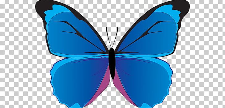 Monarch Butterfly Papillon Dog Morpho Peleides PNG, Clipart, Arthropod, Blue, Brush Footed Butterfly, Butterflies And Moths, Butterfly Free PNG Download