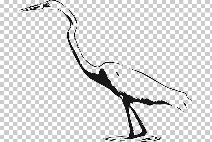 Great Egret Great Blue Heron Bird Crane PNG, Clipart, Ardea, Beak, Bird, Black And White, Cattle Egret Free PNG Download