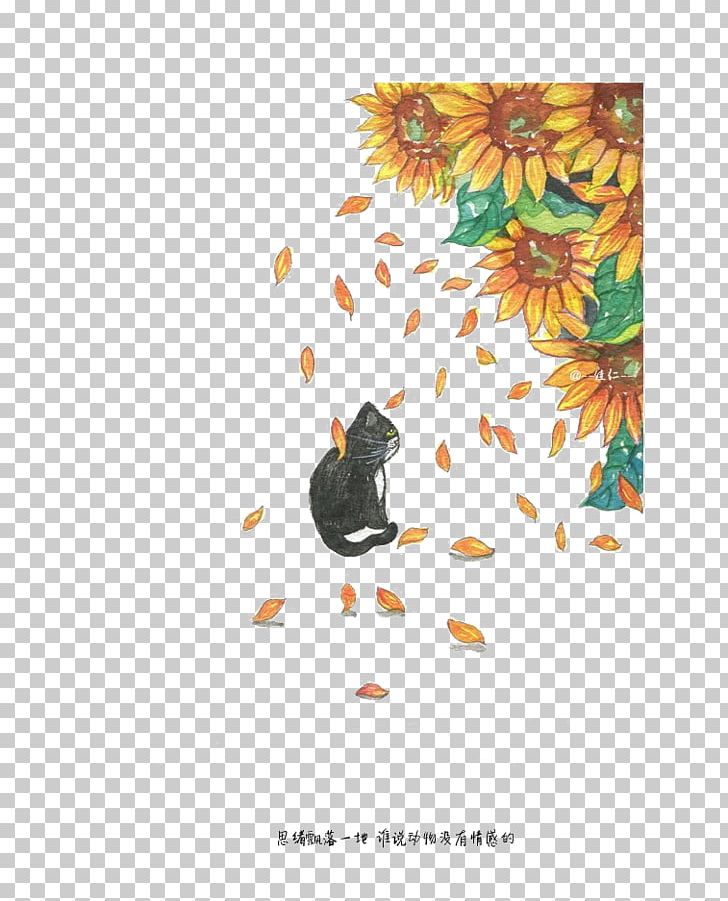 American Curl Photography Photographer DianPing Illustration PNG, Clipart, Animals, Balloon Cartoon, Bird, Boy Cartoon, Camera Free PNG Download