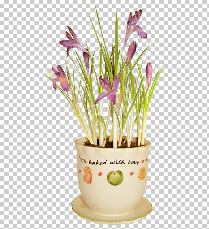 Cut Flowers Spring PNG, Clipart, 3d Magnolia, Autumn Crocus, Blog, Centerblog, Crocus Free PNG Download