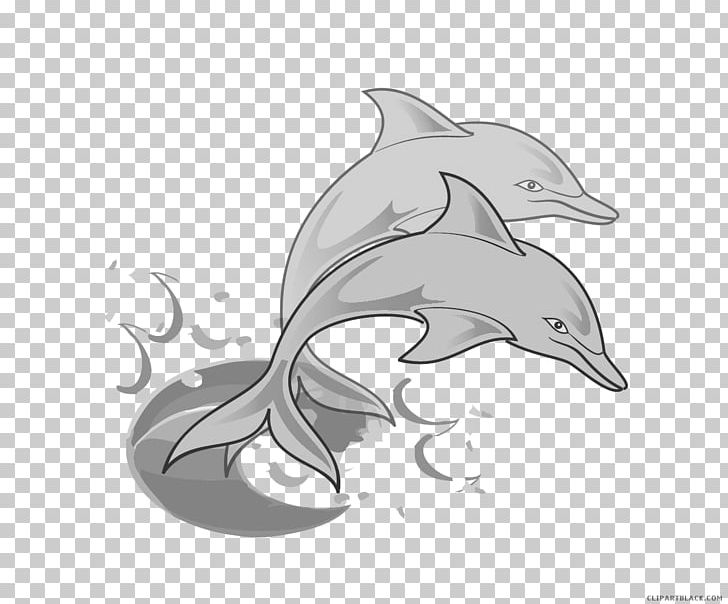 Dolphin Tucuxi PNG, Clipart, Amazing, Animal, Animals, Automotive Design, Beak Free PNG Download