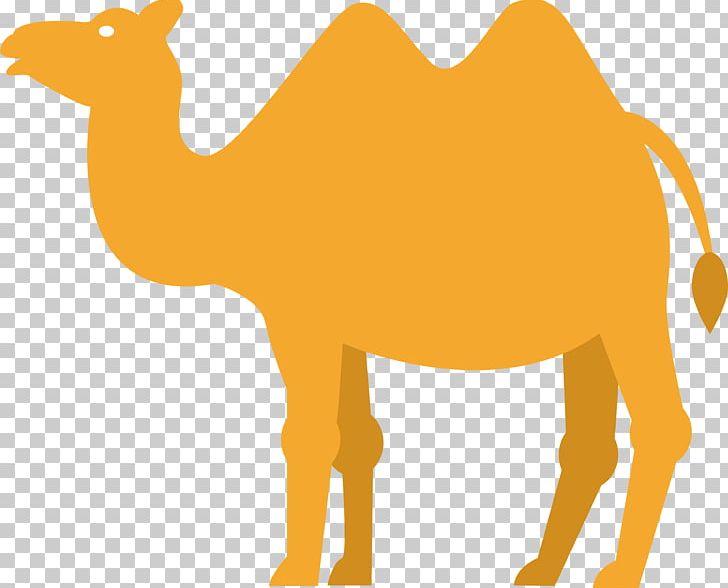 Dromedary Desert PNG, Clipart, Animals, Arabian Camel, Arizona Desert, Camel Like Mammal, Camel Toe Free PNG Download
