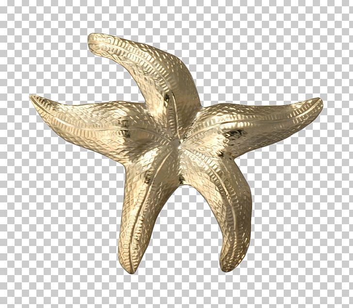 Starfish Bail Charms & Pendants Clothing Pin PNG, Clipart, Bail, Charms Pendants, Clothing, Echinoderm, Invertebrate Free PNG Download