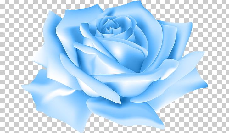 Blue Rose PNG, Clipart, Blossom, Blue, Blue Rose, Clip, Clip Art Free PNG Download