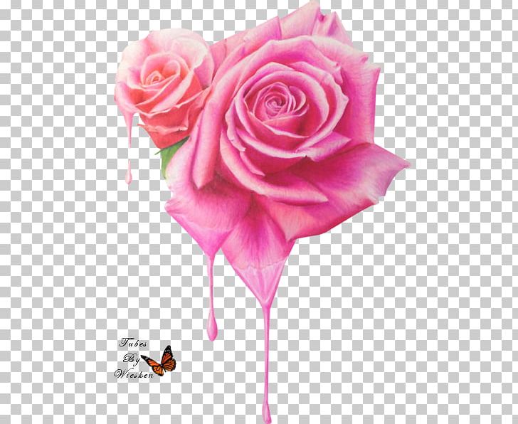 Drawing Rose Colored Pencil Prismacolor Flower PNG, Clipart, Artificial Flower, Art Museum, Color, Colored Pencil, Cut Flowers Free PNG Download