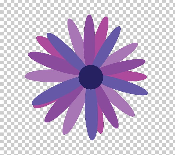 Flower Common Daisy Computer Icons PNG, Clipart, Birthday 18, Carnation, Common Daisy, Computer Icons, Daisy Family Free PNG Download