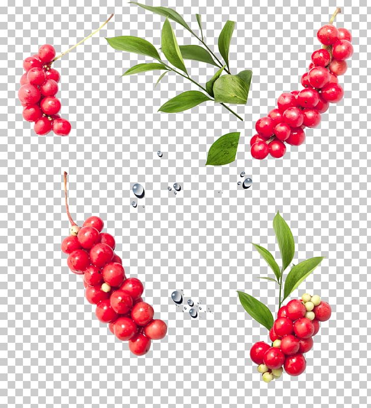 Frutti Di Bosco Juice Lingonberry Cranberry Zante Currant PNG, Clipart, Aquifoliaceae, Auglis, Berries, Berry, Bunches Free PNG Download