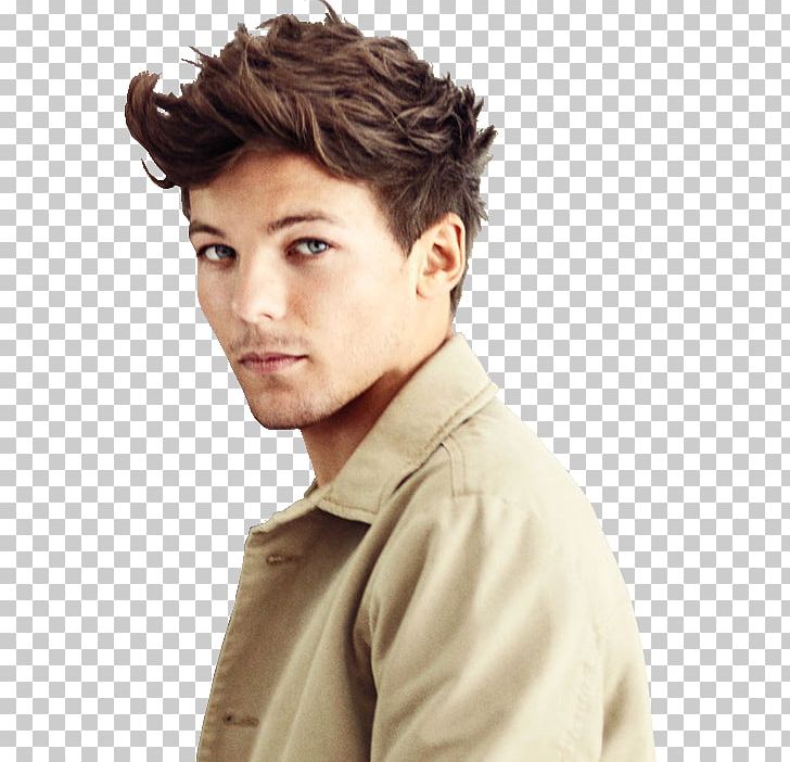Louis Tomlinson The X Factor One Direction Hairstyle Singer PNG, Clipart, Brown Hair, Chin, Forehead, Gentleman, Hair Free PNG Download