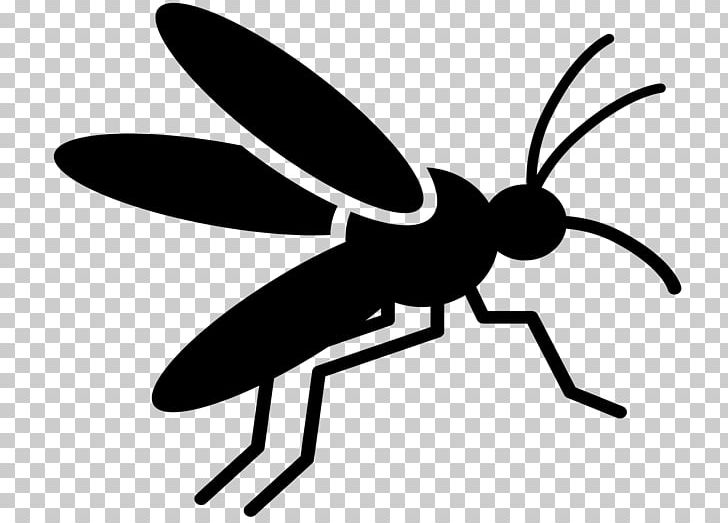 Mosquito-borne Disease Insect PNG, Clipart, Arthropod, Artwork, Black And White, Dengue, Disease Free PNG Download