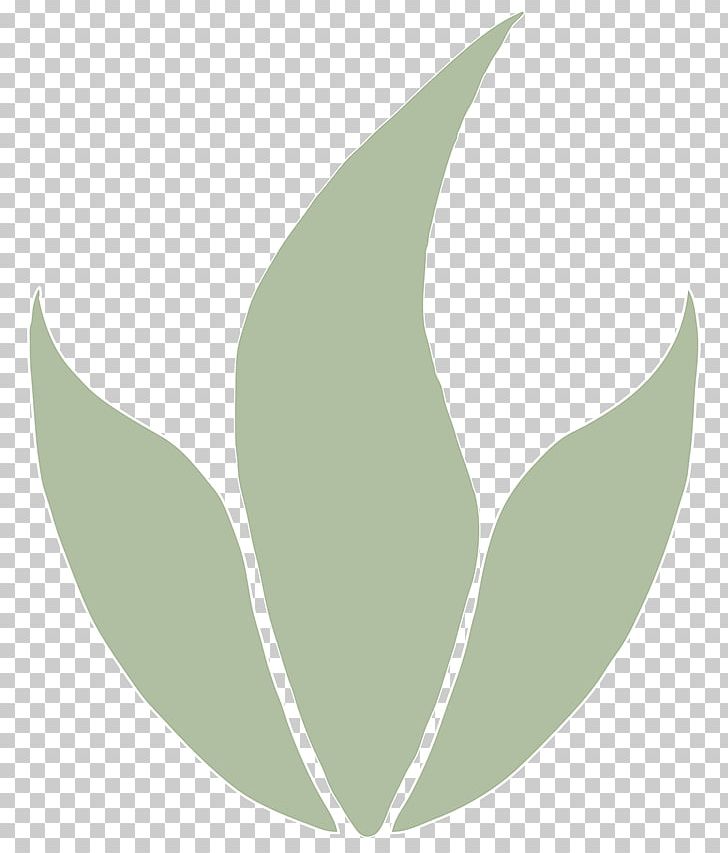 Petal Green PNG, Clipart, Art, Flower, Green, Leaf, Petal Free PNG Download